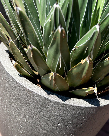 LUCA Grigio Tall Egg Pot Natural Concrete