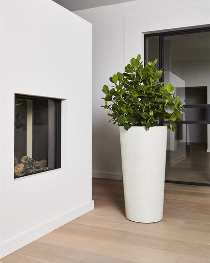 LUCA Grigio Vase Antique White