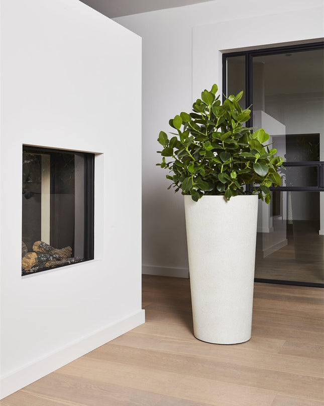 LUCA Grigio Vase Antique White