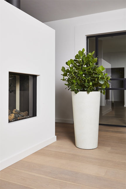 LUCA Grigio Vase Antique White