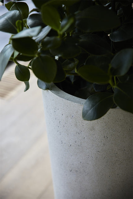 LUCA Grigio Vase Antique White