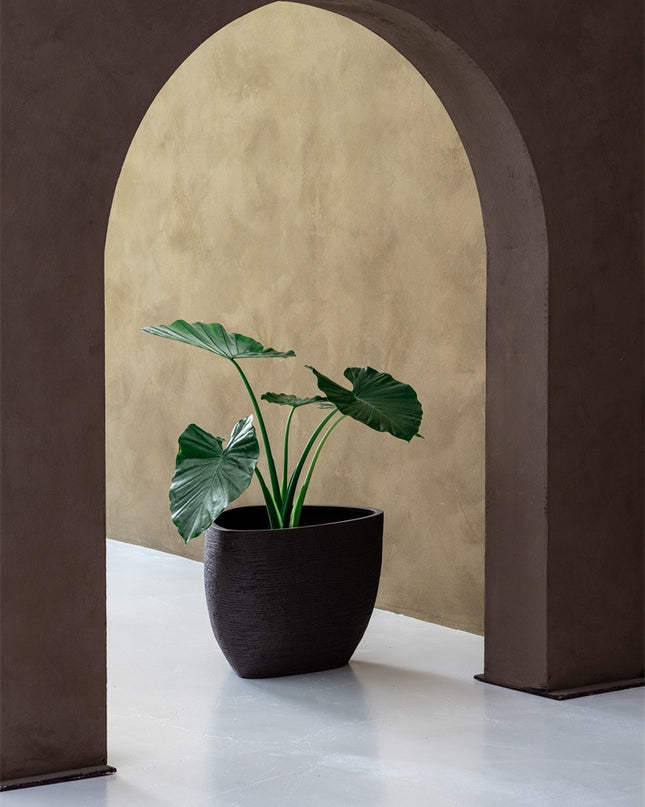 LUCA Ruvido Organic Earth