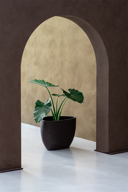 LUCA Ruvido Organic Earth