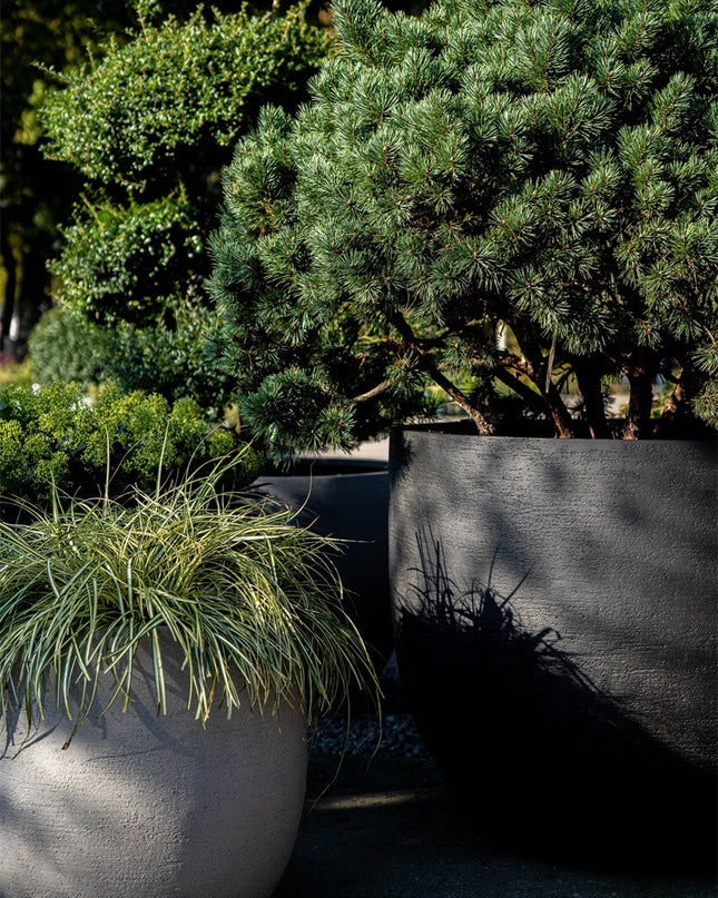 LUCA Terreno Balloon Clay