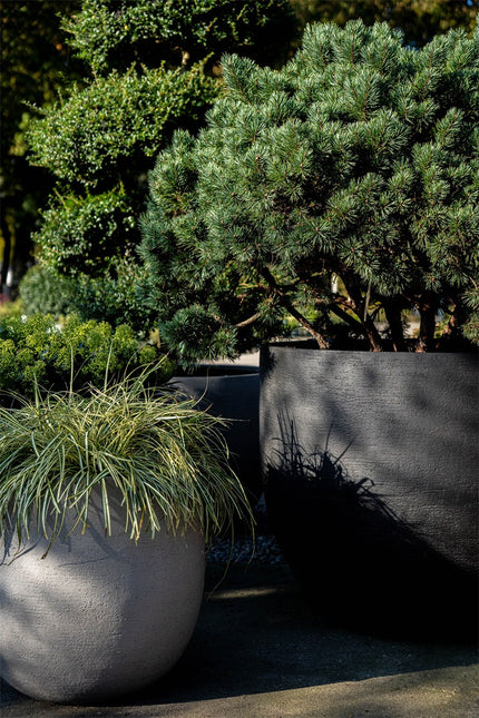 LUCA Terreno Balloon Clay