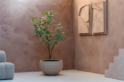 LUCA Terreno Elena Sand