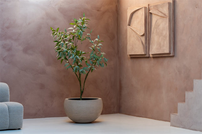 LUCA Terreno Elena Sand