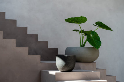 LUCA Terreno Low Balloon Clay