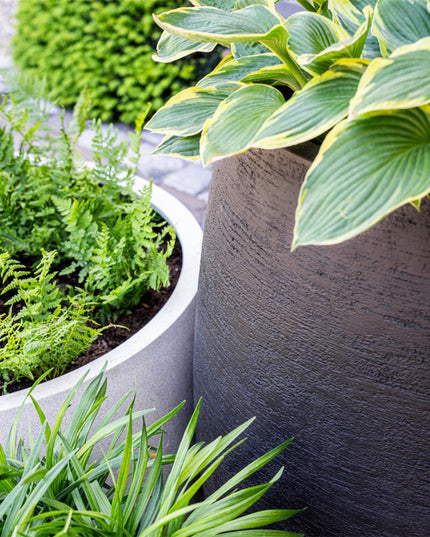 LUCA Terreno Tall Balloon Earth