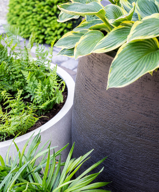 LUCA Terreno Tall Balloon Earth