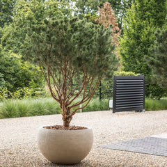 <p>Die Terreno-Kollektion bietet die luxuriöse Optik von natürlichem Ton in einem leichten Pflanzgefäß. Handwerkliches Können und die Verwendung ausschließlich bester Materialien bilden die Grundlage dieser einzigartigen Kollektion.</p>