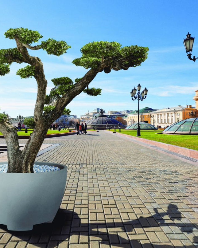 Megalos Pflanzkübel Betongrau