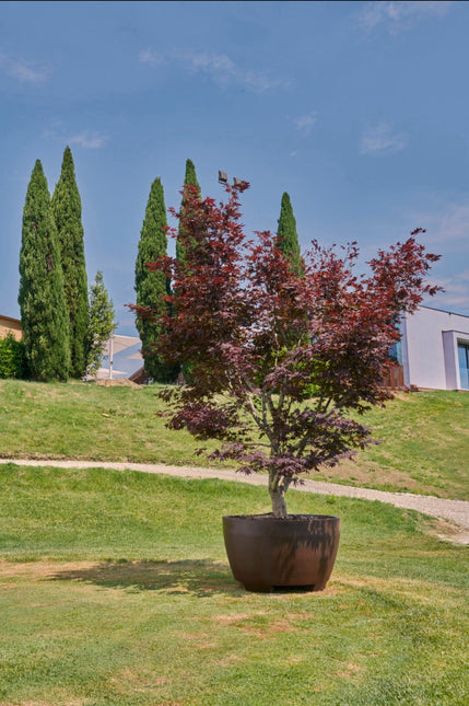 Megalos Pflanzkübel Chocolate