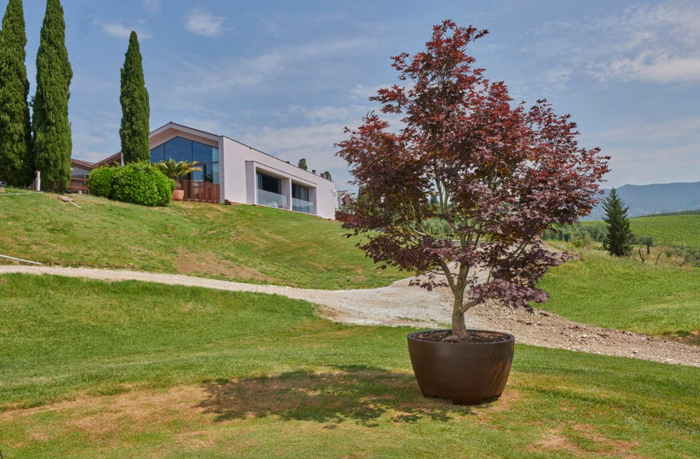 Megalos Pflanzkübel Chocolate