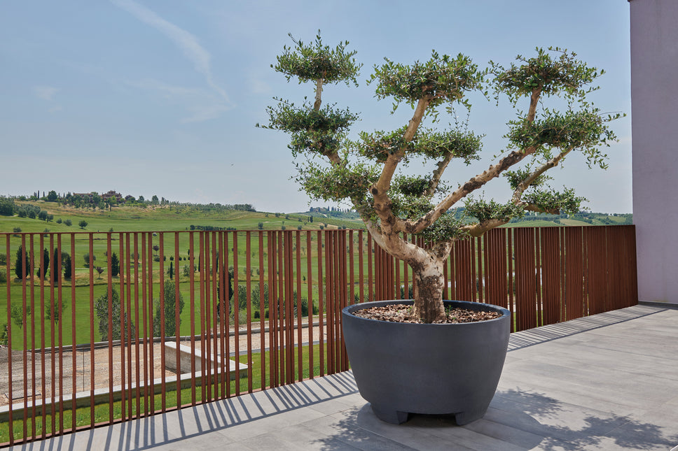 Megalos Pflanzkübel Anthrazit