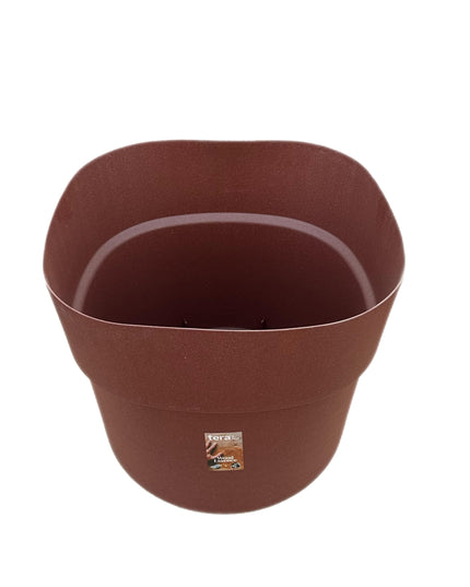 tera Andromeda Rosewood